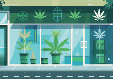 How to develop medical cannabis online store